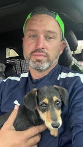 Found Dog named Kodak! Kodak was found at RR-2222 and Jester Blvd. Male  white and black Pitbull mix. Now at the Austin Animal Center. A848272  https://petharbor.com/pet.asp?uaid=ASTN.A848272