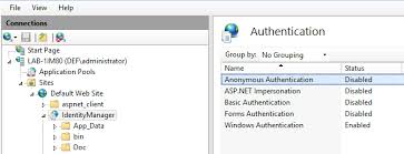 Sooner or later web development teams face one problem: Sso Single Sign On Is Not Working For The Web Portal 239053