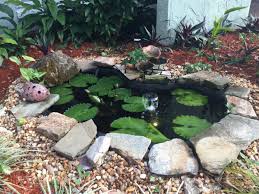 There are round about 20,000,000 ponds approximately. My 65 Gallon Pond Garden Pond Forums