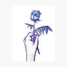 (step 1) start drawing the hands with basic shapes. Rose In Hand Sketch Photographic Print By Sketchooked Redbubble