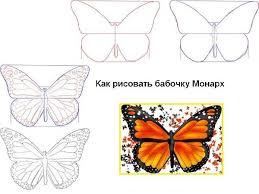 Sketsa kupu kupu kumpulan gambar dan cara menggambar lengkap. Menggambar Kupu Kupu Dengan Anak Anak Cara Menggambar Kupu Kupu Sederhana Dengan Pensil