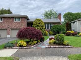Dec 01, 2011 · we have a beautiful 20 year old japanese maple in our front yard which has never had a problem over the years. Plants To Go With Japanese Maple