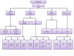 nike company organizational chart related keywords