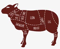 Jul 17, 2021 · more images for sheep cuts of meat chart » what is a lamb cut? Free Download Meat Map Of A Lamb Clipart Lamb And Mutton Sheep Cuts Of Meat Chart Png Image Transparent Png Free Download On Seekpng