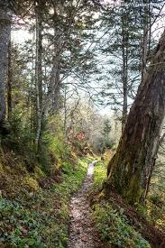 Ya Lyublyu Tebya Hazma Moya Koroleva Beautiful Nature Landscaping Near Me Nature Photography