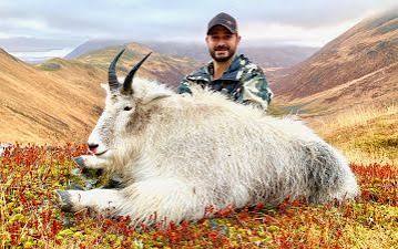 All the info you need on hunting mountain goat