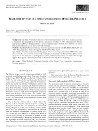 Image result for Urochloa clavipila