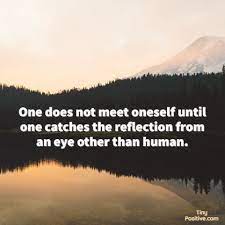 Pin On Quotes Inspirational