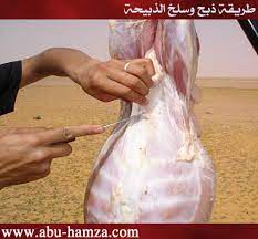 تهريب الربح ديسكو مكان وضع السكين عند ذبح الخروف comertinsaat com