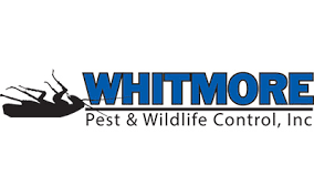 Best service, hands down. ~greg h. 12 Best Pest Control Companies In Denver Co Consumeraffairs