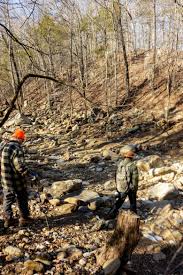 Image result for Autumn Buff 1972 Hussmann