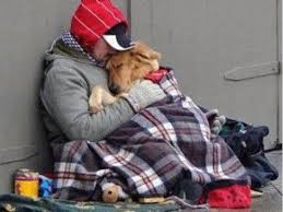 Dogs Angels Of The Human Spirit Hayvanlar Hayvan Ve Sevimli Hayvan Yavrulari