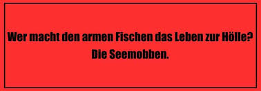 Heute muss ich einen meiner liebsten flachwitze zum besten geben warum summt die biene? Flachwitze Die Besten Flachwitze Und Kalauer Flachwitz Tiere Einfach Witziger De