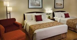 Pin On Dog Friendly Travel