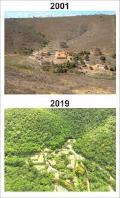 O instituto terra já produziu em seu viveiro mais de 6 milhões de mudas nativas de 290 espécies da mata atlântica. Photographer Quietly Fights Climate Change For 20 Years Trill Magazine