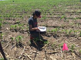 We did not find results for: Soil Moisture Sensors For Irrigation Scheduling