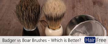 Soft, bushy tips hold more varnish. Boar Hair Vs Badger Hair Shaving Brushes Which Is Best