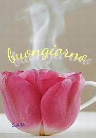 Pin Di Rosangela Panzeri Su Tulipanos Buongiorno Immagini Romantiche Immagini