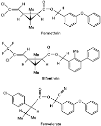 Image result for Pyrethroid