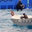We did not find results for: Pi Nin Yasami Life Of Pi Filmi Sinemalar Com