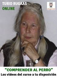 Curso de clícker y certificación CAP1 en Zaragoza en Instinto K9