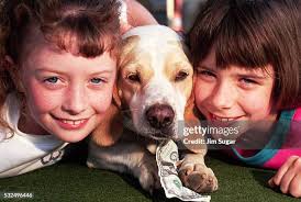 126 Chop Money Stock Photos, High-Res Pictures, and Images