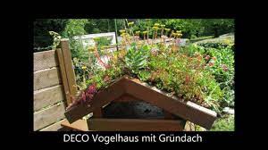 Wer sich für nistkästen für vögel interessiert, kann sich hier über nistkästen selber bauen informieren. Dachbegrunung Material Youtube