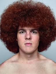 Oggi, però, basta un semplice test del dna per scoprire . La Congiura Contro I Capelli Rossi