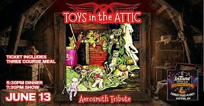 Toys in the Attic - Aerosmith Tribute