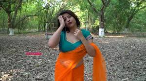 Orange net saree tanushree episode 38