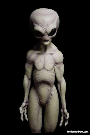 NEW 2025 "Area 51 Alien Statue" Movie-Quality Professional Prop – The  Horror Dome