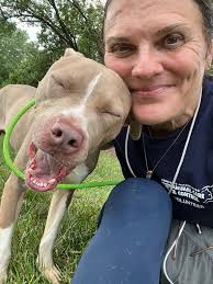 Holly Haze Making A Difference With Community Shelter Dogs