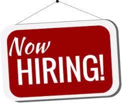 In a study at the mayo clinic in rochester, minnesota patients were given a. Job Postings Town Of Apple Valley