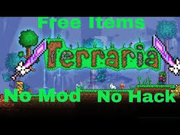 Mojang's minecraft has become more than a trend or fad, it is now an important game that is enjoyed on many levels. Terraria Free Items Server Youtube