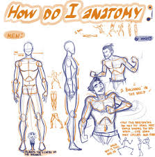 Maybe you would like to learn more about one of these? That S Rough Buddy Really How Do I Anatomy O O I Guess The