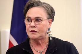 Animated elderly woman behind police incident at Hageman town hall in  Wheatland, report shows