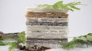 Biodesign Challenge Summit 2023 highlights student innovations in  biotechnology