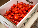How to Store Tomatoes POPSUGAR Food