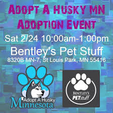 In re the guardianship of michael ramm: Adopt A Husky Minnesota At Bentley S In St Louis Park February 24th Help Us Help Them