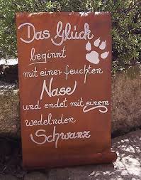 Pin Auf Spruche Zitate