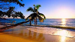 We present you our collection of desktop wallpaper theme: 1920 X 1080 Hd Hawaii Wallpapers Top Free 1920 X 1080 Hd Hawaii Backgrounds Wallpaperaccess