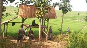 Berikut 10 cara membuat jamu sendiri di rumah, dirangkum brilio.net dari berbagai sumber pada cara membuat : Gubuk Di Sawah