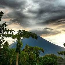 Help us verify the data and let us know if you see any information that needs to be changed or updated. 7 Best San Miguel El Salvador Ideas San Miguel El Salvador Travel El Salvador