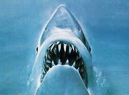 The great white sharks, sometimes erroneously referred to as jaws, are the titular main antagonists of the jaws franchise. Great White Sharks Villains Wiki Fandom