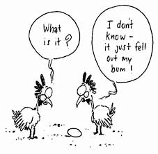 Hahaha What Came First The Chicken Or The Egg Now We Know Chicken Humor Funny Cartoons Funny Pictures