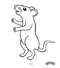 The cartoon rat coloring page also available in pdf file. Click The Kangaroo Rat Coloring Pages Cartoon Rat Coloring Page Coloring Home