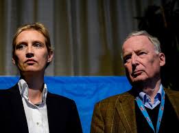 She has been a member of the bundestag (mdb) since the 2017 federal election during which she was the afd's lead candidate together with alexander gauland. Germany S Afd Party Elects Alexander Gauland And Alice Weidel As General Election Candidates The Independent The Independent