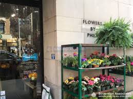 Also carry a large variety of orchid plants and. 151 East 90th Street 6f New York Ny 10128 New York Apartments Upper East Side Studio Apartment For Rent
