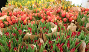 Maybe you would like to learn more about one of these? Valued Partner Whole Foods Market Opens Woodbury Store Location Chandler