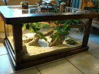 Professeur patrick chaput montre un attaque sur la position tortue. 17 Idees De Terrarium Tortue Terrarium Tortue Tortue Terrarium